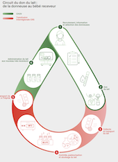 infographie circuit lait chuv 170
