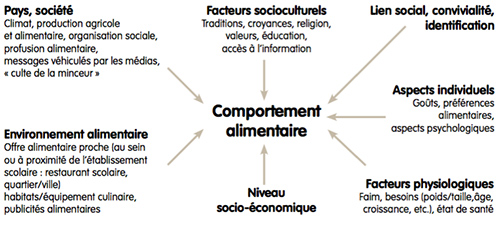 Graphique Alimentation Sante