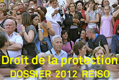 2012 - Droit de la protection