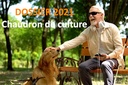 2021 - Chaudron de culture